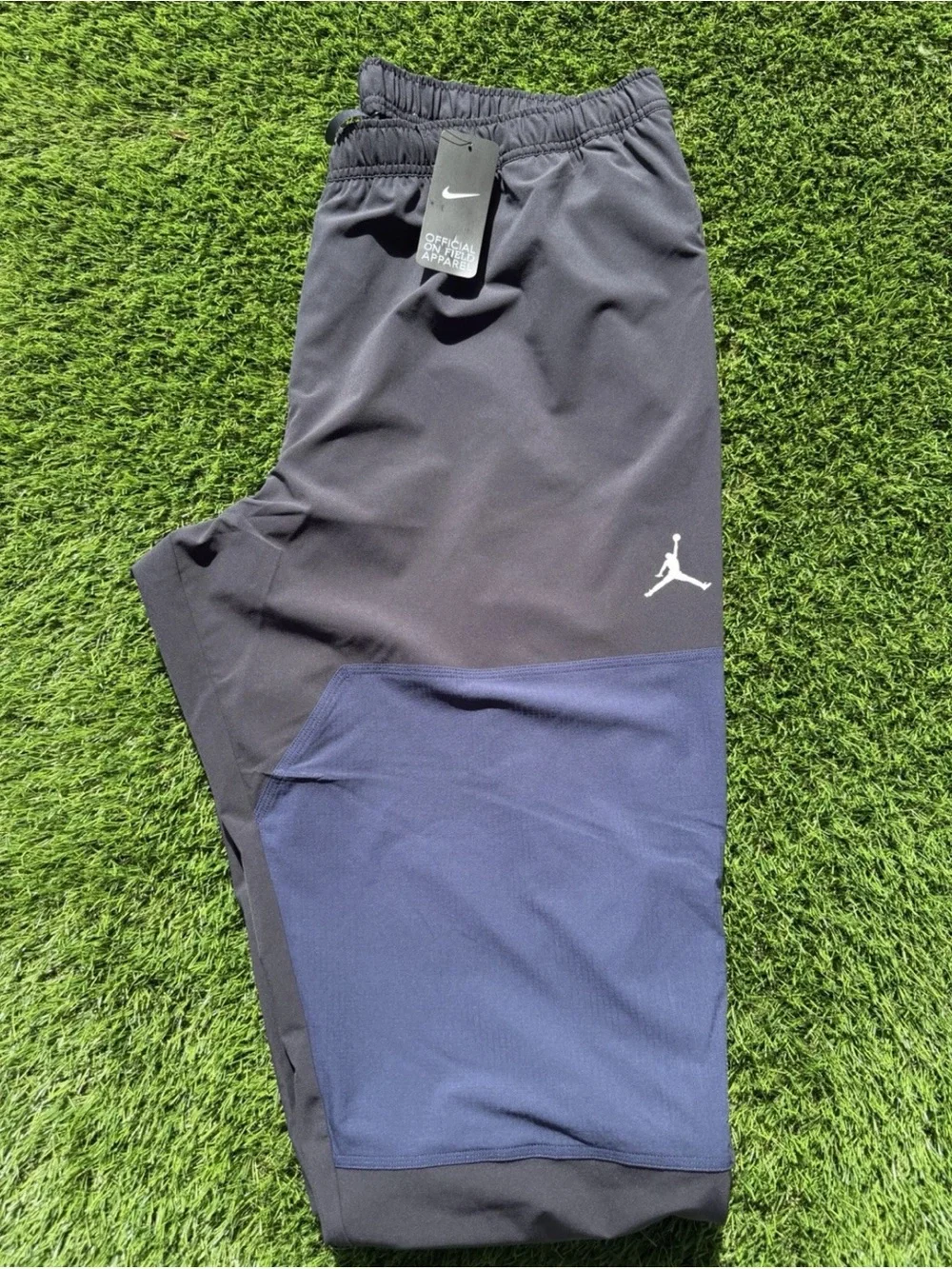 Jordan Brand Nike Michigan Wolverines PE Sideline Pants 2025 IH9496-419 Mens L